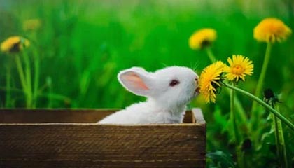 华体会官网入口-王楚钦带队参加国家集训封闭备战，王 楚钦