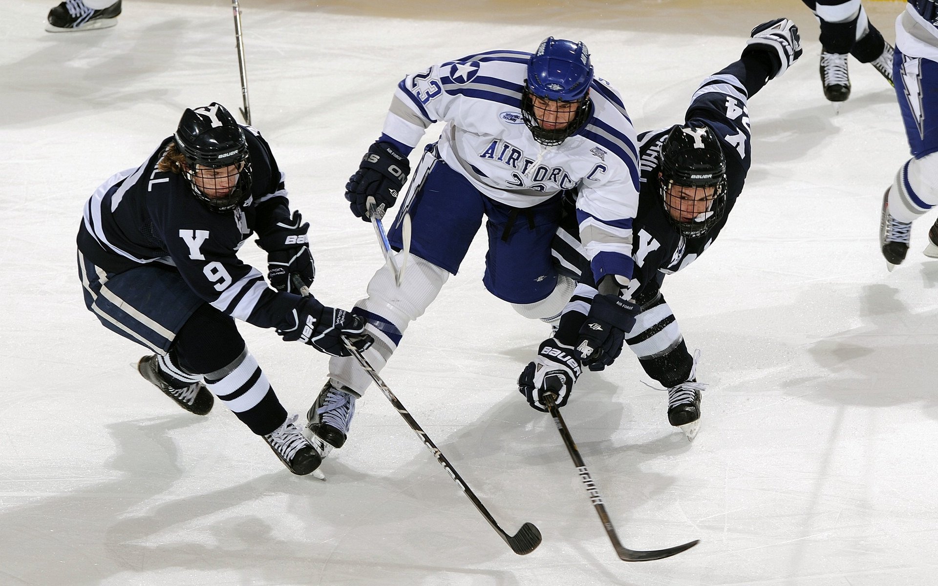 体育新闻中心开展体育赛事直播技术培训计划，体育直播工作